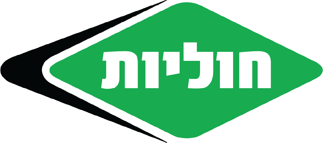 חוליות